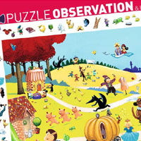 Observational Puzzles