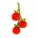 Vivacious Vegetable Tomato by Jellycat - 1