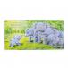Elephants Cant Fly Book by Jellycat -